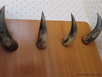 Kapstok met hoorns - afbeelding 2 van  3