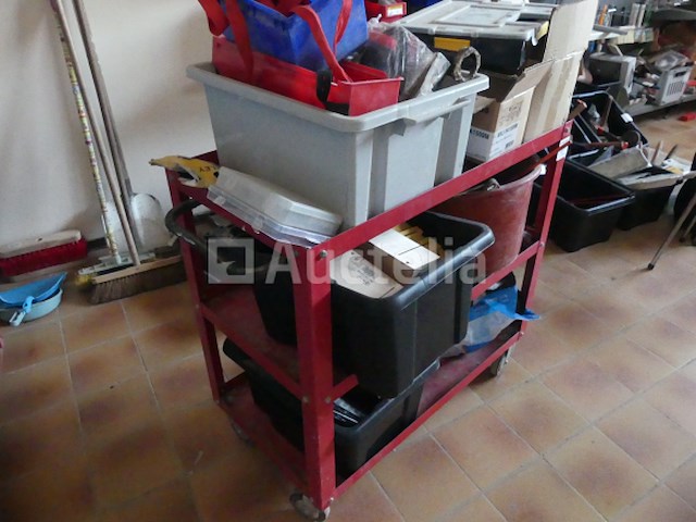 Kar met inhoud - afbeelding 6 van  9