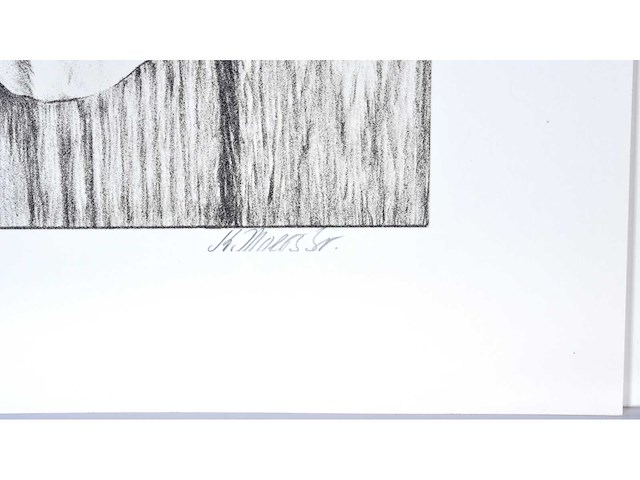 Karel moers - zeefdruk - afbeelding 3 van  9