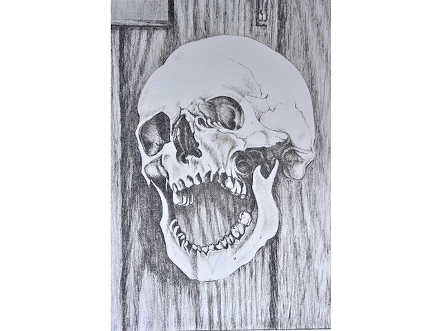 Karel moers - zeefdruk - afbeelding 5 van  9