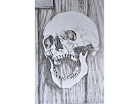 Karel moers - zeefdruk - afbeelding 5 van  9