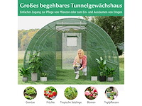 Kas met metalen structuur 4x3x2m - afbeelding 4 van  7