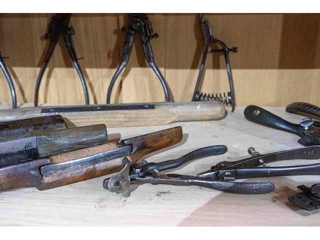 Kast 7_zaagtandtrekkers en spookschaven - afbeelding 4 van  4