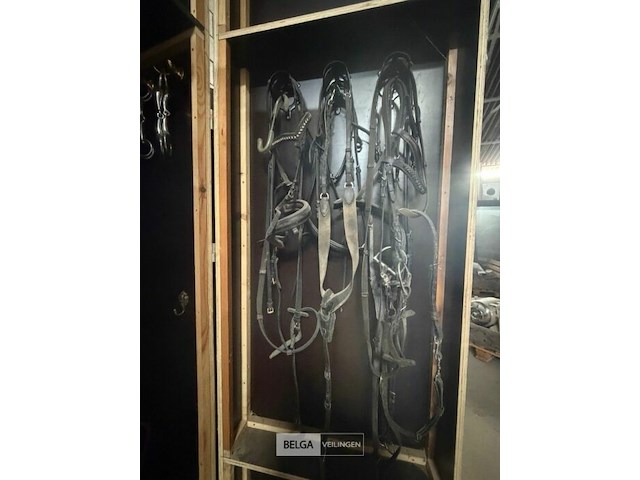Kast + inhoud paardenmateriaal - afbeelding 5 van  9