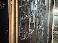 Kast + inhoud paardenmateriaal - afbeelding 5 van  9