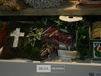 Kast met inhoud - afbeelding 3 van  10