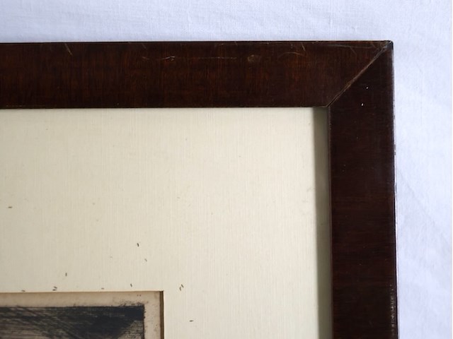 Kasteel bever - afbeelding 5 van  6