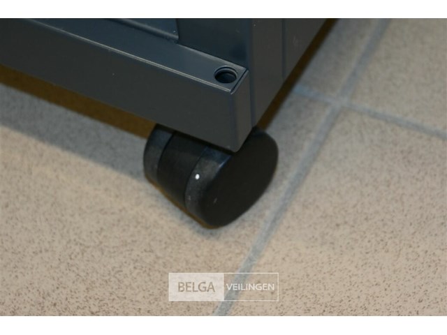 Kastje op wielen - afbeelding 5 van  5