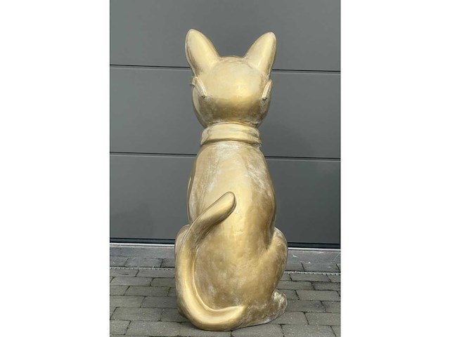 Kat met bril witgoud - afbeelding 3 van  4