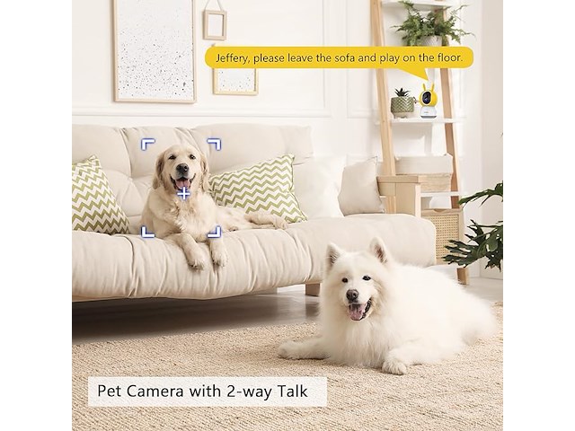 Kawa security solo indoorcam - afbeelding 6 van  7