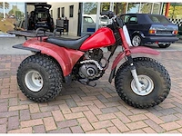 Kawasaki atc 110 quad - afbeelding 8 van  10
