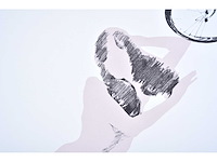 Kaye regelski - kaye's rainbows - zeefdruk - afbeelding 5 van  8