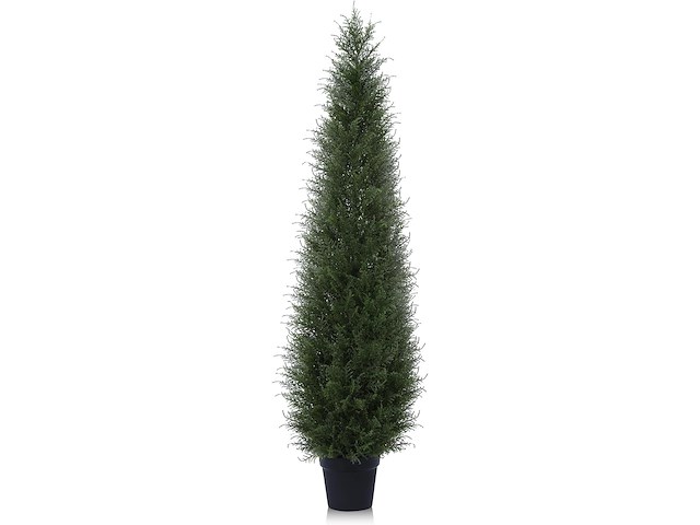 Kazeila cedro kunstplant (150 cm) - afbeelding 1 van  3