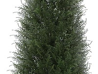 Kazeila cedro kunstplant (150 cm) - afbeelding 1 van  3