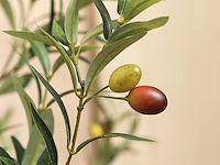 Kazeila kunstmatige olijfboom (1,5 m) - afbeelding 2 van  4