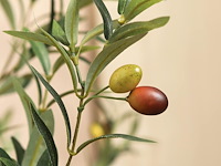 Kazeila kunstmatige olijfboom (1,5 m) - afbeelding 2 van  4