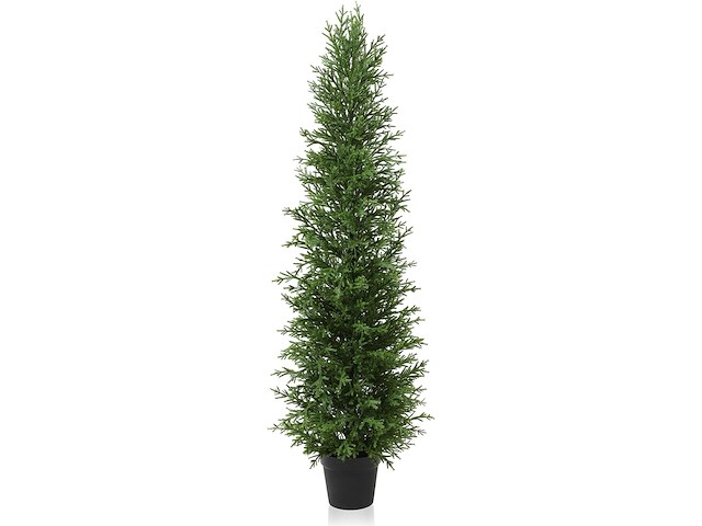 Kazeila kunstplant (150 cm) - afbeelding 1 van  3