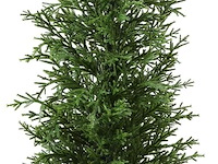 Kazeila kunstplant (150 cm) - afbeelding 1 van  3