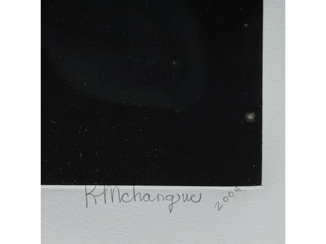 Keegan mchargue (1982), untitled, 2004, etching and aquatint, n° 11/33 44 x 62 cm. (17.32 x 24.41 in.), frame: 80 x 95 cm. (31 1/2 x 37.39 in.) - afbeelding 4 van  5