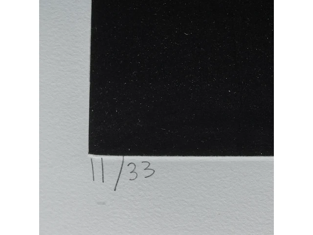 Keegan mchargue (1982), untitled, 2004, etching and aquatint, n° 11/33 44 x 62 cm. (17.32 x 24.41 in.), frame: 80 x 95 cm. (31 1/2 x 37.39 in.) - afbeelding 5 van  5