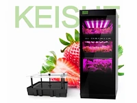 Keisue - 2.0 - led kweekkast (3x)