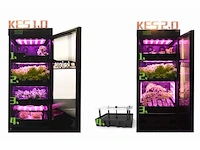 Keisue - 2.0 - led kweekkast (3x) - afbeelding 2 van  2