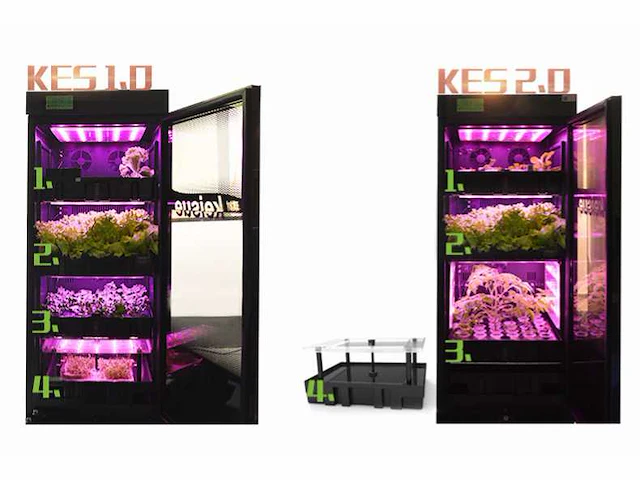 Keisue - 2.0 - led kweekkast - afbeelding 2 van  2