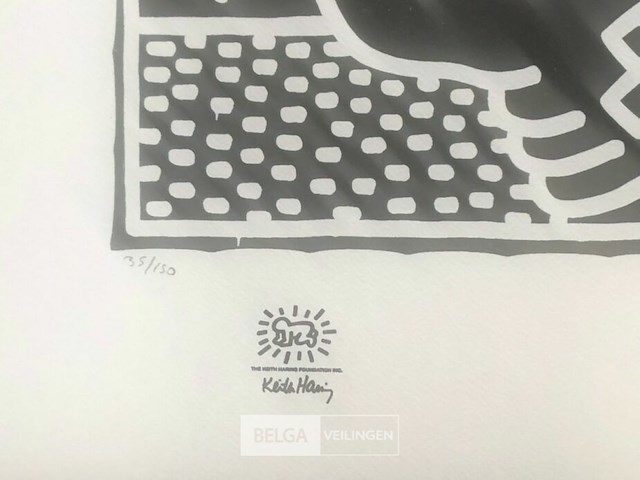 Keith haring - afbeelding 2 van  6