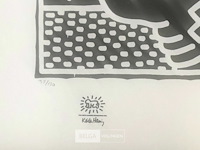 Keith haring - afbeelding 2 van  6