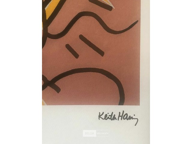 Keith haring - afbeelding 3 van  7