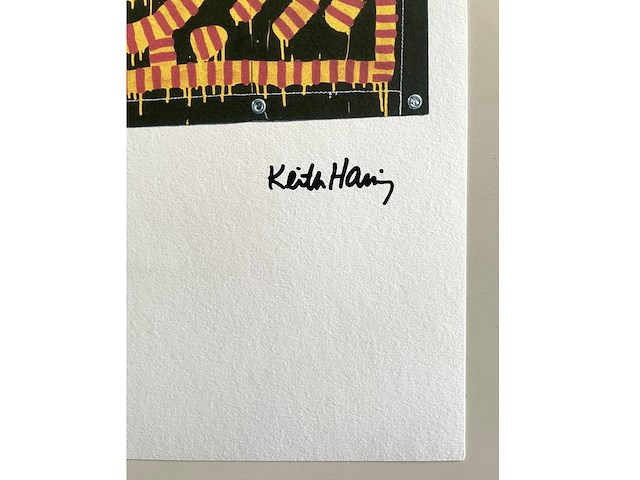 Keith haring - afbeelding 4 van  4