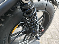 Kenda fatbike elektrische fiets - afbeelding 30 van  31