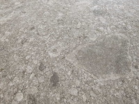 Keope ceppo grey mat 80x80 cm tegel 45,44 m² - afbeelding 5 van  7