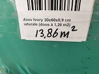 Keope moov ivory mat 30x60 cm tegel 13,86 m² - afbeelding 5 van  5