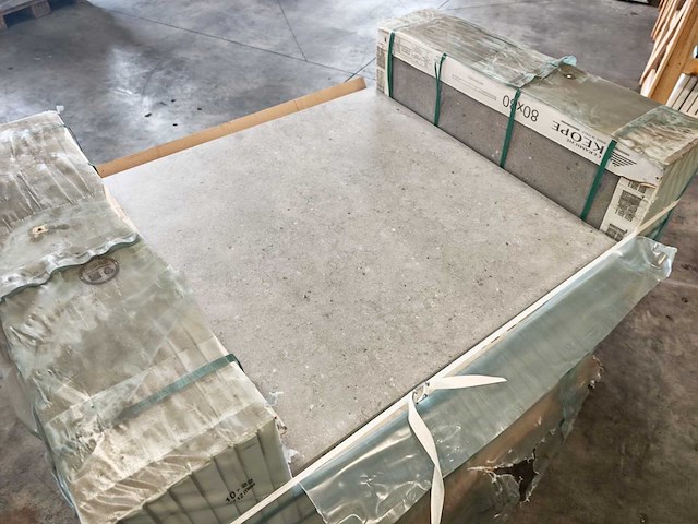 Keope omnia pirenei silver mat 80x80 cm tegel 61,44 m² - afbeelding 4 van  8