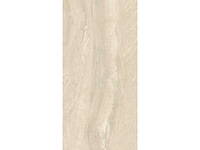 Keramische tuintegel 45,36m² travertine goud 60x120cm - afbeelding 5 van  6