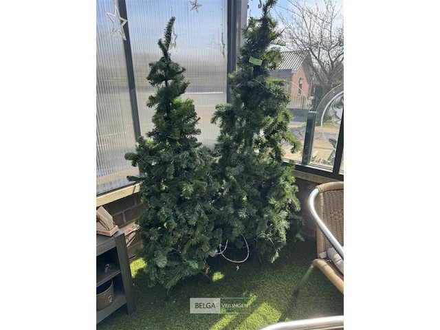 Kerstbomen - afbeelding 1 van  4
