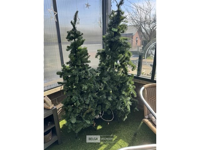 Kerstbomen - afbeelding 3 van  4