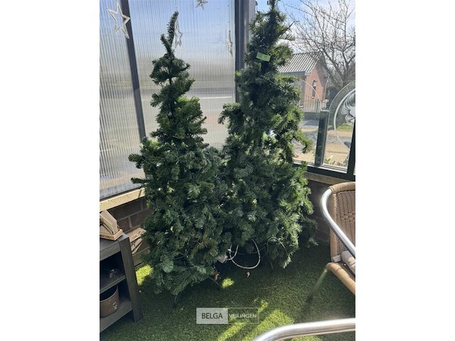 Kerstbomen - afbeelding 4 van  4