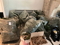 Kerstboom (3x) - afbeelding 1 van  8