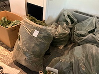 Kerstboom (3x) - afbeelding 2 van  8