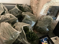 Kerstboom (3x) - afbeelding 3 van  8