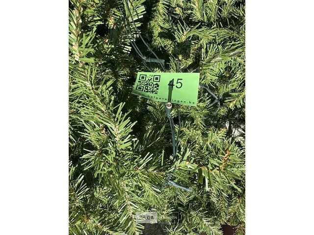 Kerstboom met deco verlichting - afbeelding 6 van  6
