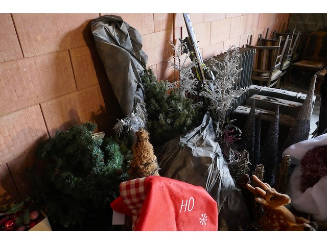 Kerstversiering en halloweenversiering - afbeelding 1 van  6
