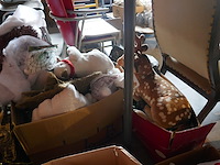 Kerstversiering en halloweenversiering - afbeelding 5 van  6
