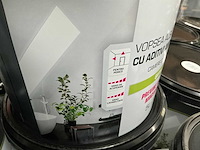 Ketel muurverf voor vochtige ruimtes (60x) - afbeelding 3 van  3