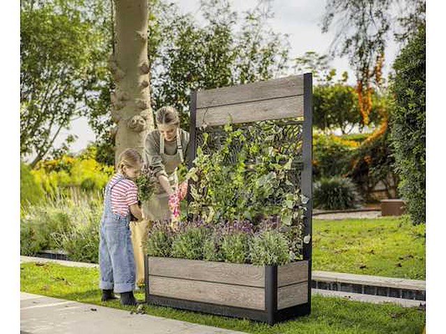 Keter ashwood deco wood-look planter plastic bladpatroon 43,2 x 156,3 cm met plantenrek - afbeelding 2 van  5