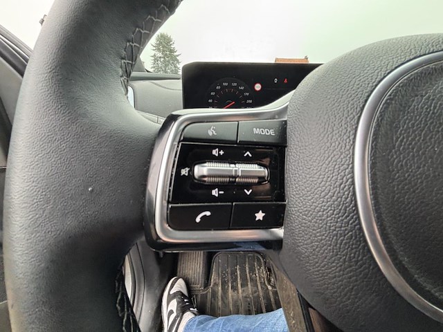 Kia sorento, 2025 - afbeelding 16 van  41