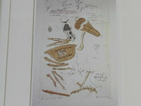 Kip archaeopterix - afbeelding 1 van  2