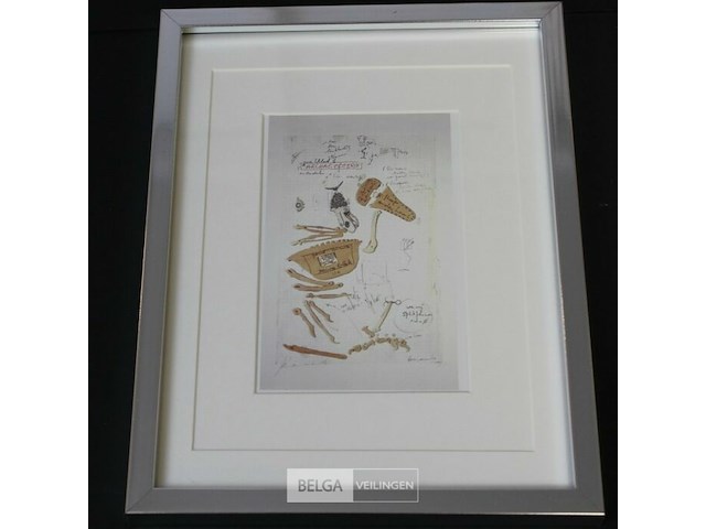 Kip archaeopterix - afbeelding 2 van  2